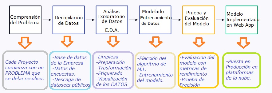 Life-Cycle Project 